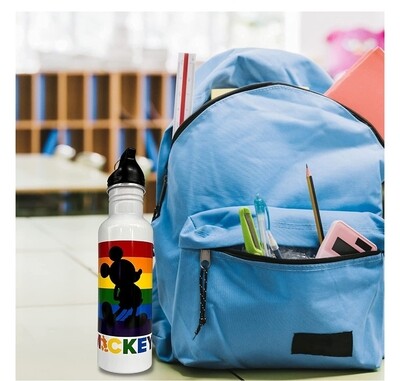 Aluminum Disney water bottle , free shipping.