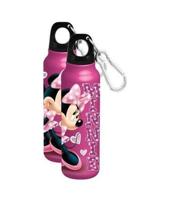 Aluminum Disney water bottle , free shipping.