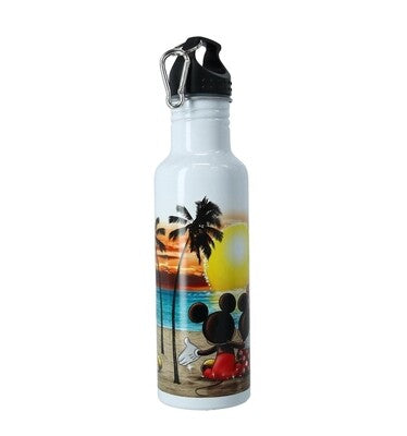 Aluminum Disney water bottle , free shipping.