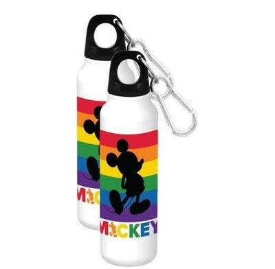 Aluminum Disney water bottle , free shipping.