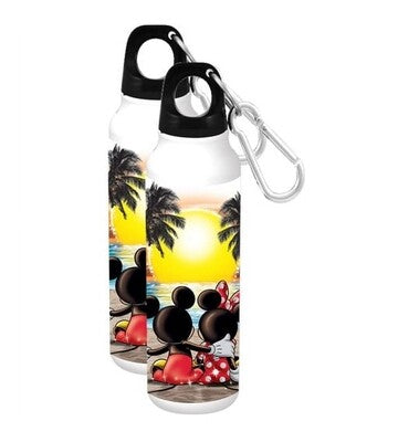 Aluminum Disney water bottle , free shipping.