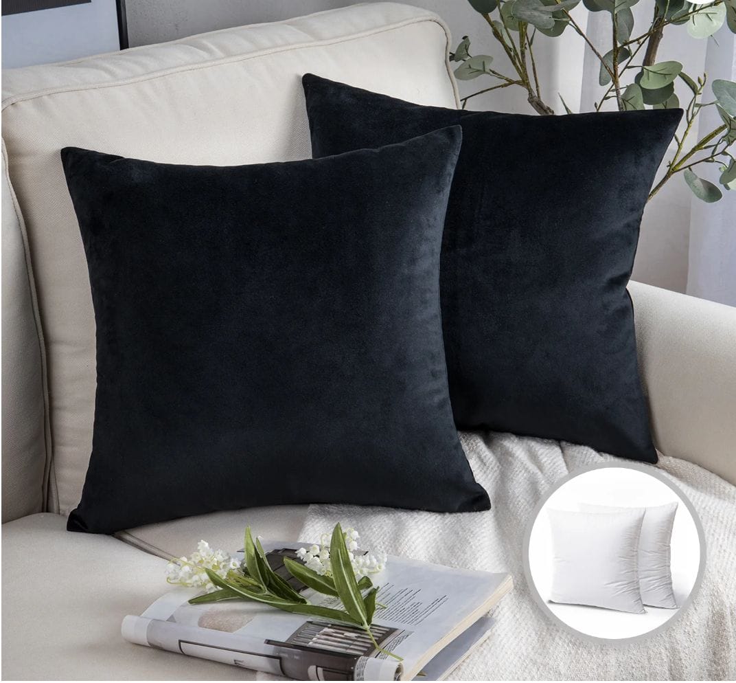 Soft Silky Velvet Series Decorative Throw Pillow, 22" x 22", Black, 1 Pack