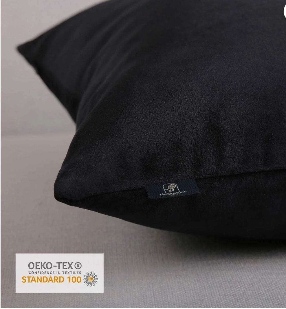 Soft Silky Velvet Series Decorative Throw Pillow, 22" x 22", Black, 1 Pack